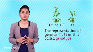 Heredity and Evolution  Understanding Basic Terminology  Mendels experiment [upl. by Alger]