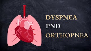 Dyspnea PND amp Orthopnea [upl. by Ueihtam]