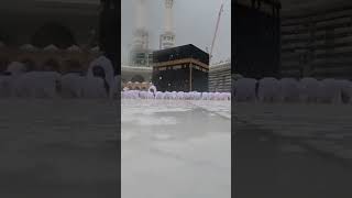 Performing Salah in the rain brings immense joy  haramain haramaininfo makkah [upl. by Camus66]