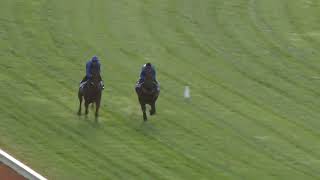 12 Nov Gallops Gallop 6 [upl. by Hey]