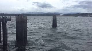 Onboard Ferry From Port Townsend to Coupeville Washington [upl. by Casi]