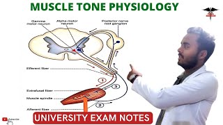 Muscle Tone  CNS Physiology [upl. by Llerrad]