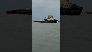 Tug Svitzer Foxtort😯😱 shipinstrom shortvideo shortsviral shorts shortsyoutube shortsfeed ship [upl. by Correy]