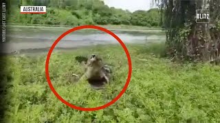 Australia la pesca finisce male dal fiume spunta un enorme coccodrillo [upl. by Bois]