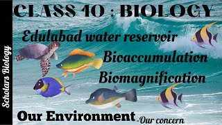 Class 10 Biology Our EnvironmentEdulabad Water ReservoirBioaccumulationBiomagnification [upl. by Veron]