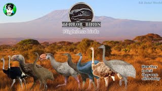 GIANT FLIGHTLESS BIRDS  Size comparison [upl. by Elok952]