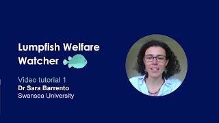 Introduction to the Lumpfish Welfare Watcher  episode 1 [upl. by Bowman588]