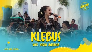 KLEBUS  NGATMOMBILUNG VOC VIDIA ANTAVIA COVER [upl. by Hadeehsar]