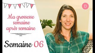 6ème semaine de grossesse – L’alimentation [upl. by Alduino]