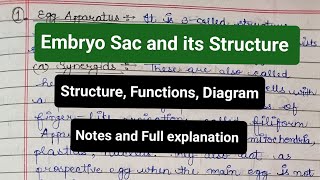 Embryo Sac and Its Structure  Organization  Functions  Diagram  Female gametophyte notes yt [upl. by Hilde205]