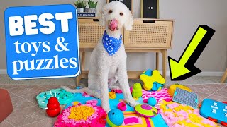 BEST Enrichment Toys amp Puzzles 👉 REVIEWED [upl. by Latta183]