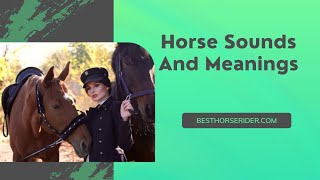 Horse Sounds And Meanings [upl. by Mott]