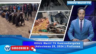 ODUU Waliif TV Kamisa Galgalaa Adoolessa 25 2024  Finfinnee [upl. by Hasina]