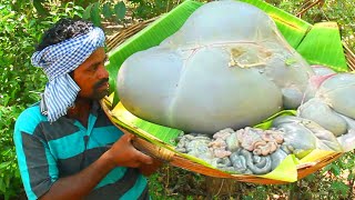 GOAT STOMACH  Goat Intestine Gravy  Cleaning amp Cooking Skill  Boti Curry Recipe in Village [upl. by Aerdma]