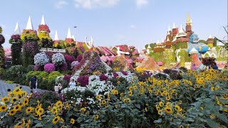 MILIOANE DE FLORI PENTRU ADMIRATORI🌹DE LA MIRACLE GARDEN  DUBAI [upl. by Luemas642]