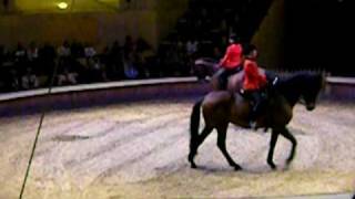 The Stables at Chantilly France  a Demonstration of Riding [upl. by Spearing]