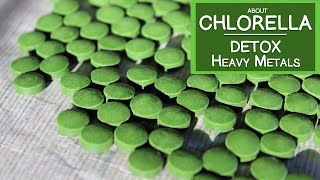 Learn About Chlorella Algae and How It May Help Detox Heavy Metals [upl. by Reyna]