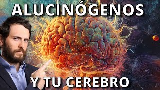 Así Cambian Tu Cerebro los Alucinógenos [upl. by Teryl]