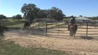 Parelli Natural Horse Training Tip  Riding in Groups [upl. by Consuelo560]