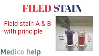 Field stain AampB procedure  gram staining [upl. by Minerva]