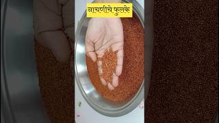 नाचणीचे फुलके  Nachani Fulkerecipe In Marathi  Ragi Fulke  Priya Marathi Recipes shorts [upl. by Suoicul]