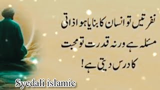 Urdu Quotes About Life  Urdu Quotes Status  Golden Words in Urdu  Syedali islamic [upl. by Leena144]