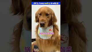 dog funny woodworking pets rakshabandhan amazingfacts chandrayaan3 uwoodworkerfacts [upl. by Lyrpa]