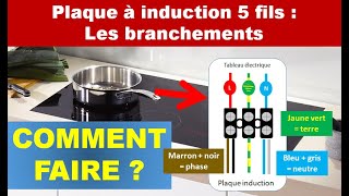 Comment brancher une plaque induction 5 fils [upl. by Yatnod]