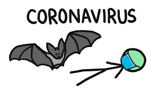 Why Do Bats Carry So Many Diseases like Coronavirus [upl. by Tnarb]