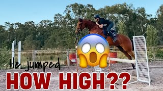 HOW HIGH can my HORSE JUMP  Thoroughbred High Jump [upl. by Inoue]