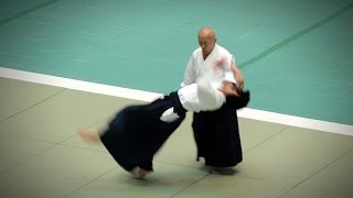 Aikikai Aikido  Osawa Hayato Shihan  54th All Japan Aikido Demonstration 2016 [upl. by Ardnasxela]