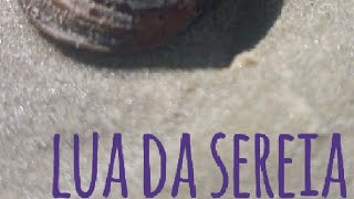 LUA DA SEREIA [upl. by Yffub]