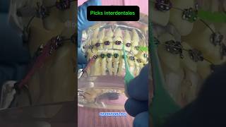 Picks interdentales picks palillosinterdentales pickdental brackets Higieneinterdental [upl. by Negem241]