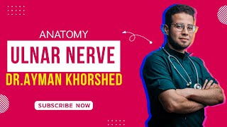 MSK Anatomy  Ulnar Nerve  DrAyman Khorshed [upl. by Olra]