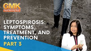 Leptospirosis Symptoms Treatment and Prevention Part 3  Usapang Pangkalusugan [upl. by Hendrickson]