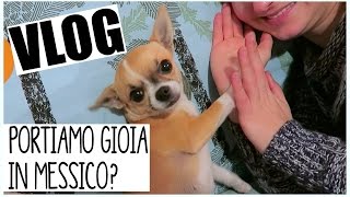 PORTEREMO GIOIA IN MESSICO Vlog 9 FEBBRAIO 2016  Gemminamakeup [upl. by Cullen672]