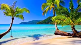 4k UHD Tropical Beach amp Palm Trees on a Island Ocean Sounds Ocean Waves White Noise for Sleeping [upl. by Burroughs715]