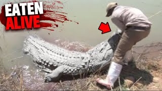 This ALBINO Crocodile Eats Fisherman Alive In Front of His Wife [upl. by Tristram600]