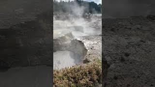 Hot Springs Furnas Sao Miguel Azores [upl. by Kalam]