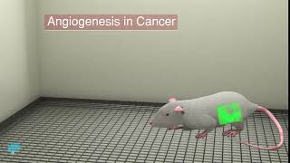 Angiogenesis in Cancer [upl. by Bale306]