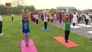 4th International Yoga Day  TV Report [upl. by Small]