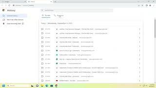 How to View Browsing History on Chrome Guide [upl. by Swaine]