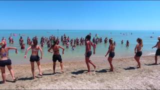 Camping Village Salinello Video Drone Mare Abruzzo [upl. by Nagol]