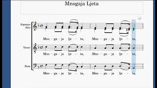 Mnogaja Ljeta  Bass [upl. by Annaiel]