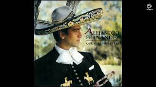 ALEJANDRO FERNÁNDEZ  QUE SEAS MUY FELIZ Full Álbum 1995 [upl. by Eita]