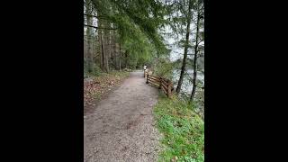 Exciting walking around Capilano River to Park Royal trails🏃🏻‍♀️‍➡️🏃🏻‍♂️🇨🇦🙌🏻😌 [upl. by Foy]