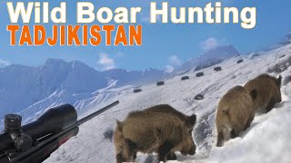 Wild Boar Attila Keiler Hunting with ski in Tadjikistan  2019 Chasse Sanglier Attila [upl. by Otokam]