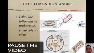 Prokaryotes Eukaryotes and Viruses [upl. by Aliel]