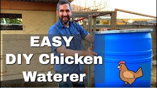 DIY So Easy Chicken Watering Barrel  No More Flowing Messy Bucket  Food Grade Chicken Waterer [upl. by Enelrahs]