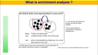 ChemRICH enrichment analysis for metabolomics part 1 [upl. by Seta]